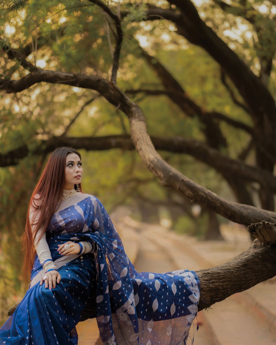 Royal Blue Silk Saree